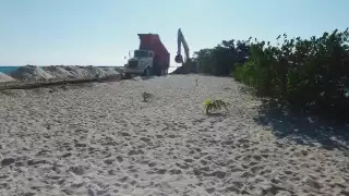 Violan sellos de clausura en Puerto Aventuras y continúan trabajos de construcción