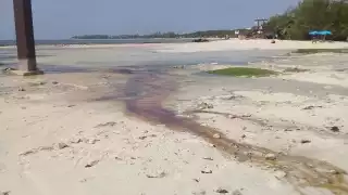 Esta playa cuenta con serios problemas de contaminación por desechos plásticos y grandes cantidades de sargazo