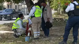 El responsable del accidente al verla malherida decidió huir a gran velocidad