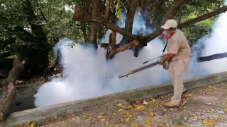 Habitantes de Atasta Pueblo denunciaron una invasión inusual de mosquitos tras las recientes lluvias.
