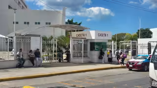 Campeche registra 15 casos confirmados de dengue durante el primer semestre de 2026.