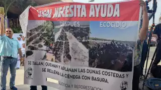 Ecocidio imparable  en Sisal: Se han perdido 37 mil metros cuadrados de selva por su tala ilegal