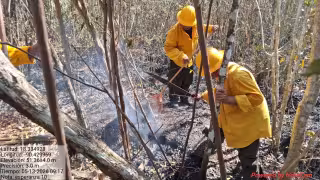 Ejidatarios denuncian invasión y saqueo de madera