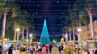 Yucatán en temporada invernal es distinto al resto del año