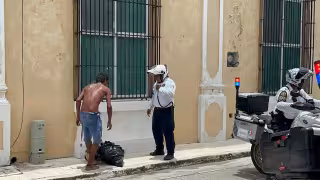 Reportan conductas agresivas en colonias y zonas turísticas