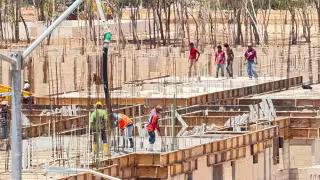 Los desarrollos inmobiliarios no respetan la ley y dañan el ecosistema.