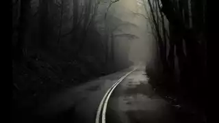 Cozumel no sólo esconde bellezas naturales que llaman al turismo