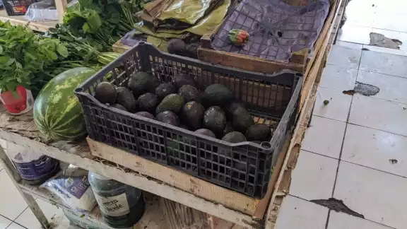 La variedad local es más barata, pero se vende menos La variedad local es más barata, pero se vende menos
