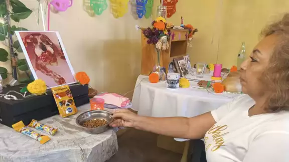 Laura Yorgina Mena da la bienvenida a sus mascotas Kembly y Lula con un altar dedicado a ellas Laura Yorgina Mena da la bienvenida a sus mascotas Kembly y Lula con un altar dedicado a ellas