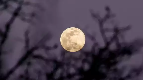 En agosto, podremos ser testigos de una serie de fenómenos astronómicos, con la Luna Azul como protagonista y la impresionante lluvia de estrellas de las Perseidas. En agosto, podremos ser testigos de una serie de fenómenos astronómicos, con la Luna Azul como protagonista y la impresionante lluvia de estrellas de las Perseidas.