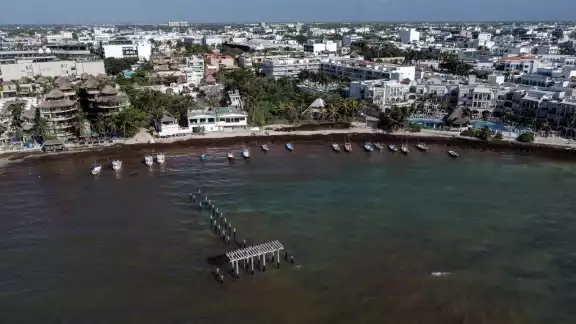 En el transcurso de las próximas horas se estima la ocurrencia de recales al Este de Cozumel, con un aproximado de 15 toneladas En el transcurso de las próximas horas se estima la ocurrencia de recales al Este de Cozumel, con un aproximado de 15 toneladas