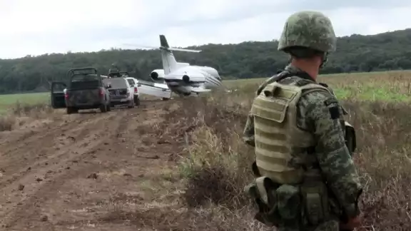 Se desconoce con exactitud cuanto mide el sembradío hallado en Campeche Se desconoce con exactitud cuanto mide el sembradío hallado en Campeche