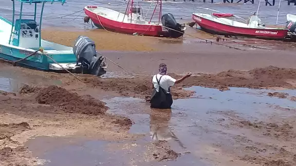 Una de las trabajadoras sargaceras comentó que, “en sí, el alga no apesta, lo que huele mal es el agua de mar que se ha podrido. Una de las trabajadoras sargaceras comentó que, “en sí, el alga no apesta, lo que huele mal es el agua de mar que se ha podrido.