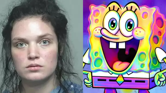 La mujer afirmó que todo se lo ordenó Bob Esponja La mujer afirmó que todo se lo ordenó Bob Esponja