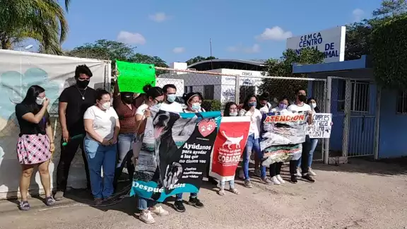 Los activistas piden que se deje de matar a los animales