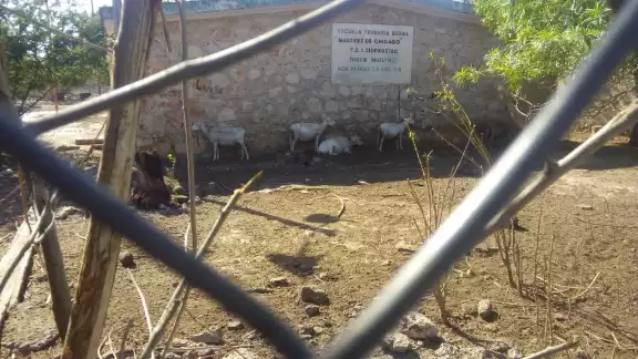Los habitantes esperan que las escuelas sean reabiertas pronto Los habitantes esperan que las escuelas sean reabiertas pronto