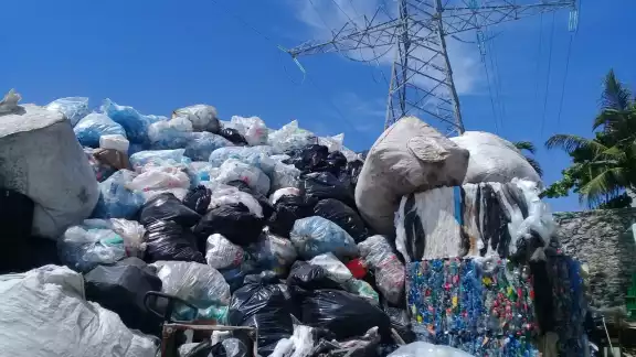 Falta crear conciencia ecológica en Playa del Carmen.