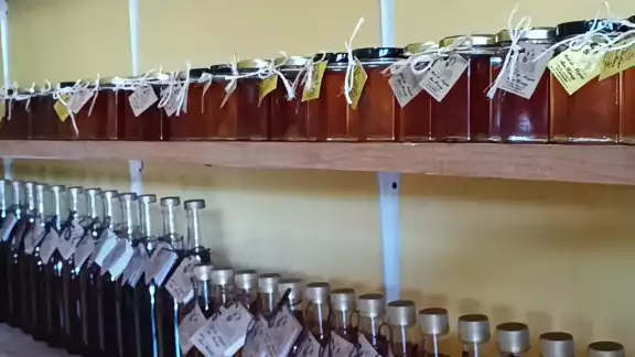 En la localidad Macario Gómez hay una cooperativa que reúne a 300 productores En la localidad Macario Gómez hay una cooperativa que reúne a 300 productores