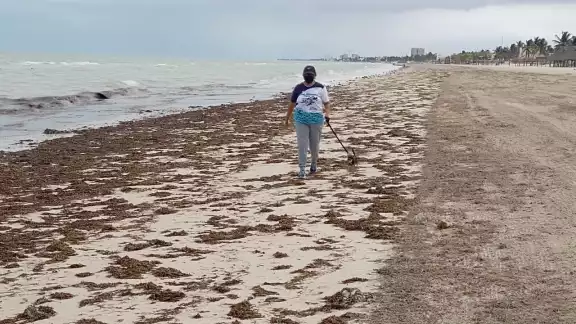 Desciende el nivel del mar debido a los fuertes vientos del Noreste Desciende el nivel del mar debido a los fuertes vientos del Noreste