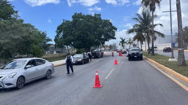 La medida sobre el uso de polarizados en los autos ha resultado polémica.