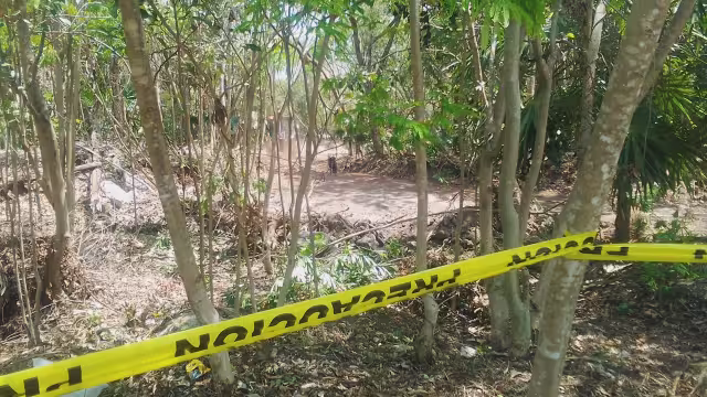 A pesar del sello de clausura los trabajos continuaban con maquinaria pesada