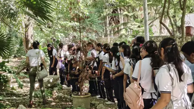 Más de 580 mil alumnos de todos los niveles regresan de manera escalonada a las aulas en Yucatán