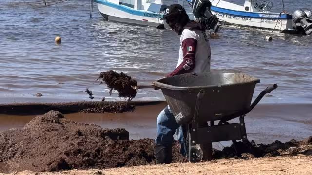 El sargazo ha provocado afectaciones en todos los sectores del destino.