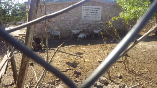 Los habitantes esperan que las escuelas sean reabiertas pronto
