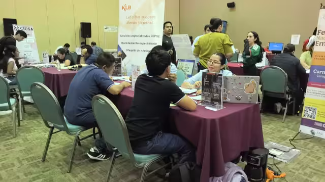 Profesionistas y técnicos de Ciudad del Carmen denunciaron bajos salarios y excesivos requisitos para conseguir empleo.