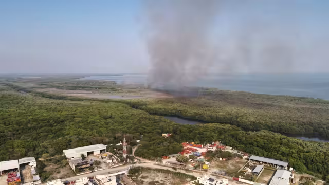 Fuerte incendio en Laguna de Términos genera enorme nube de humo en Carmen