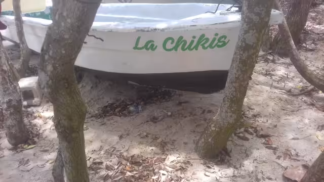 Foto: Guillermo Contreras Cruz