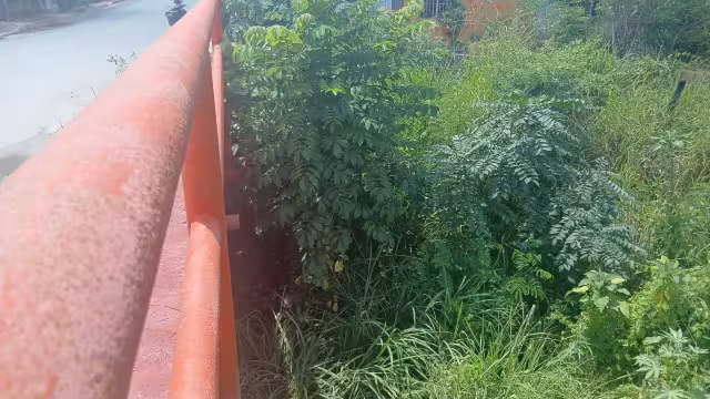 Frente frío 41 provocará lluvias, vientos fuertes y descenso de temperatura en Campeche