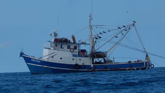 La veda afecta a este sector de altura por el incremento en el precio del combustible que se encuentra en 21.99 pesos