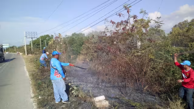 El fuego en la carretera de Playa del Carmen a Puerto Aventuras en Quintana Roo, fue causado presuntamente por los rayos solares reflejados en una botella de vidrio