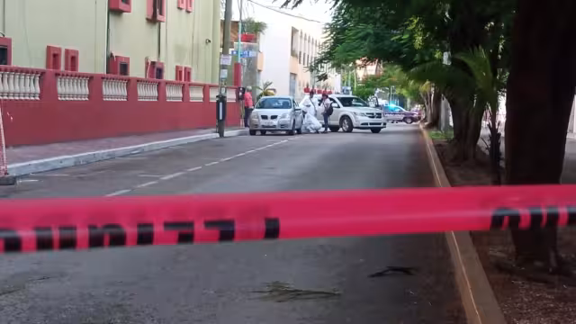 Fue hallado en la avenida 10 con calle 20 Norte, cerca de la zona turística de Playa del Carmen