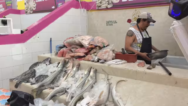 Comerciantes del mercado de mariscos en Ciudad del Carmen reportan balance positivo en Semana Santa.