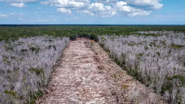 Aún se está analizando dónde serán exhibidos