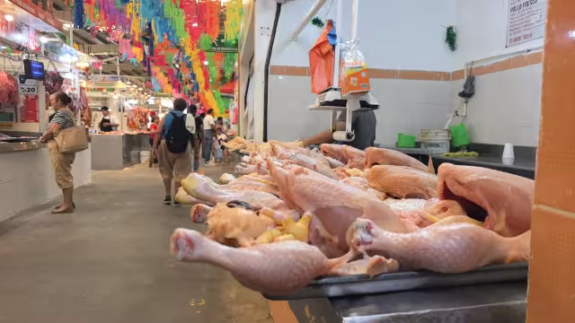 Comerciantes advierten posible alza de 3 a 4 pesos en pollo