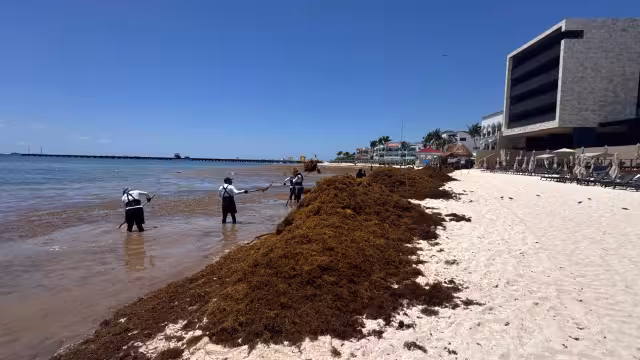 Piden reforzar cumplimiento de normas ambientales ante crisis del Caribe