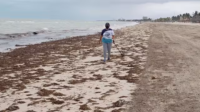 Desciende el nivel del mar debido a los fuertes vientos del Noreste