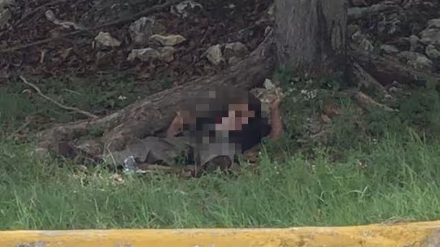 Foto: Rafael García