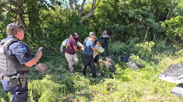 Protección Civil traslada a venado herido al Ecoparque