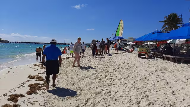 Playa del Carmen es uno de los destinos más afectados por el regale de sargazo