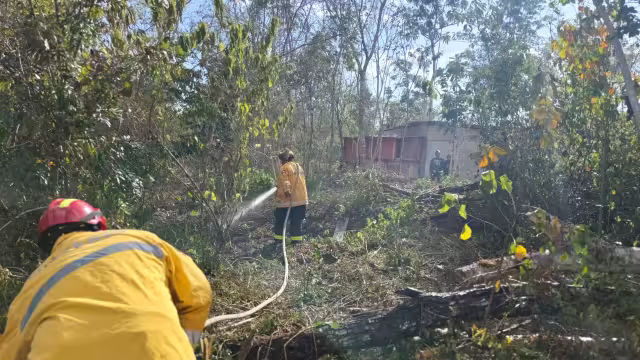 Elementos del Cuerpo de Bomberos combatieron el fuego.