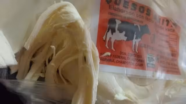 La garrapata salió cuando deshebraban el queso