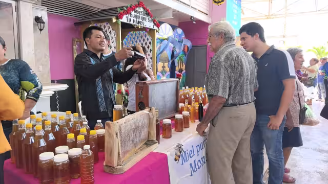 Campeche perdió 30% de sus apicultores por caída del precio de la miel.