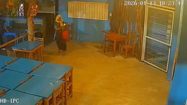 De colonia en colonia: mujer agresiva ahora atemoriza negocios de Playa Norte