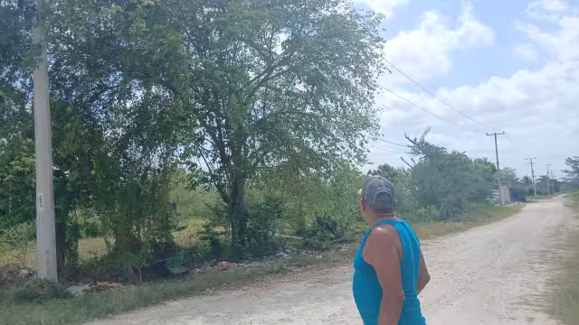Vecinos señalaron que la situación provoca bajones de energía y representa riesgo de incendio que podría afectar viviendas cercanas
