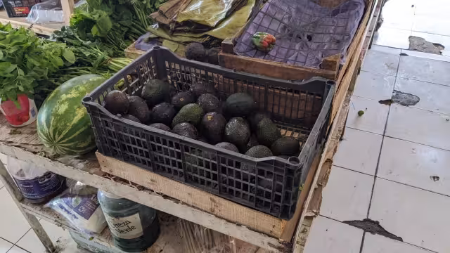 La variedad local es más barata, pero se vende menos