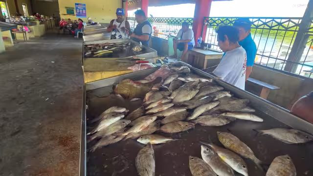 Sector pesquero alerta sobre impactos acumulativos de la contaminación